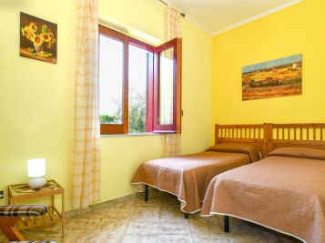 Green Paradise Mimosa