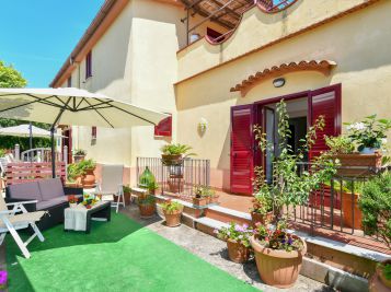 Green Paradise Mimosa